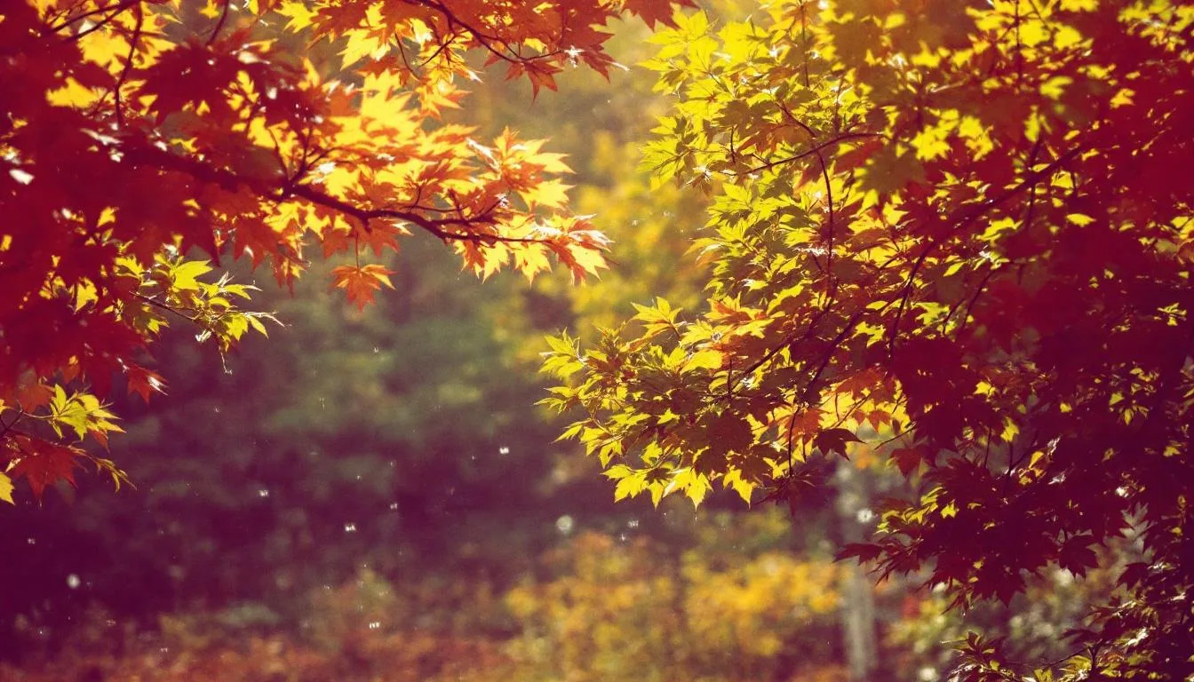 Animali in via di estinzione: la sorprendente rinascita delle specie che stanno riconquistando il nostro pianeta